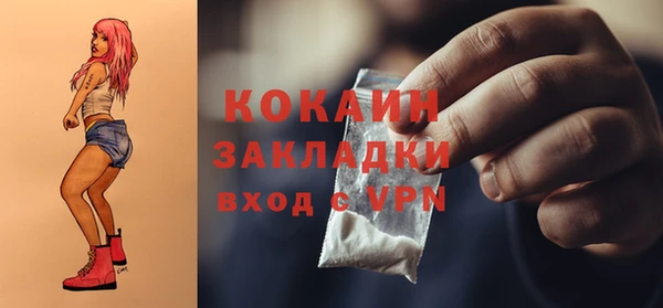 молекула духа Надым