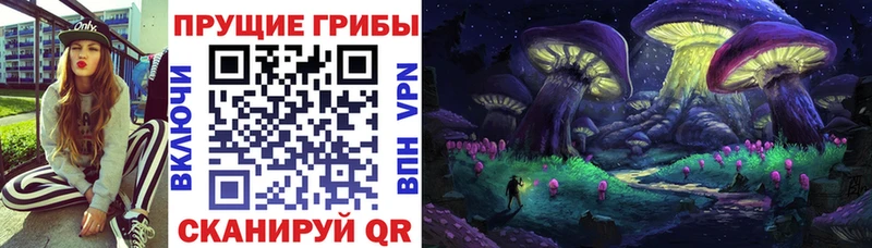 даркнет наркотические препараты  Шагонар  Псилоцибиновые грибы прущие грибы 